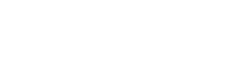 zitex