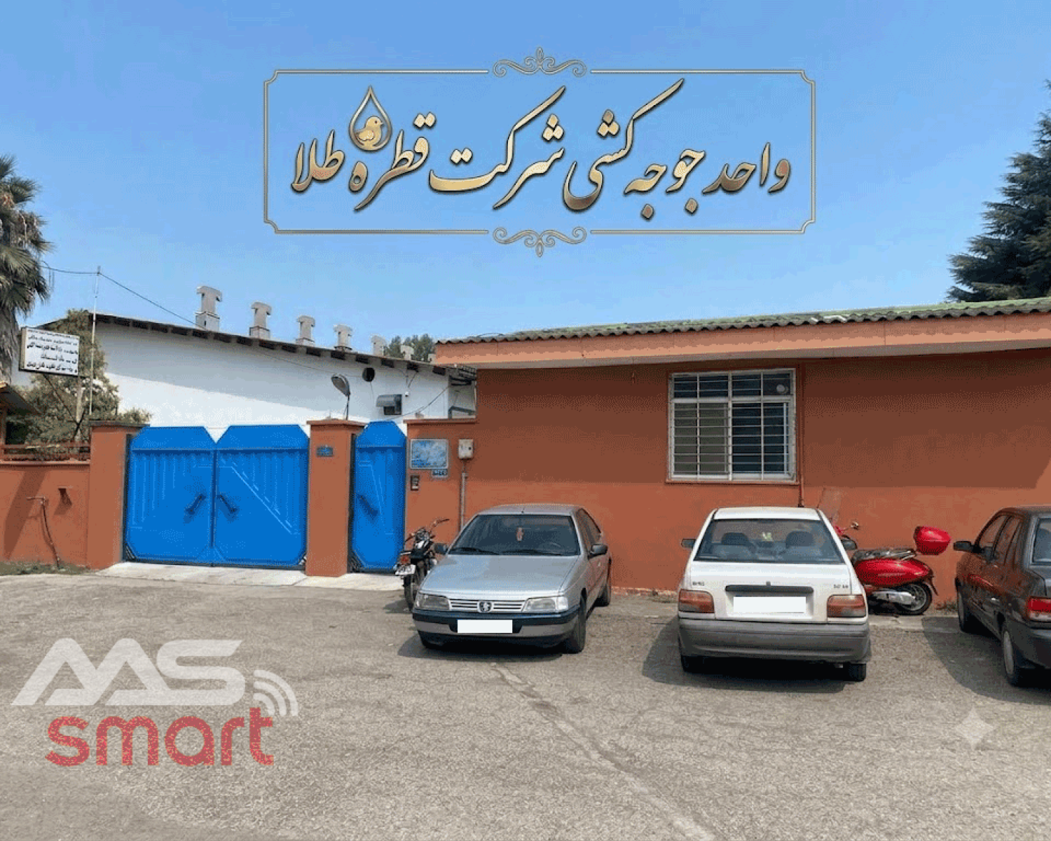 واحد جوجه کشی شرکت قطره طلا