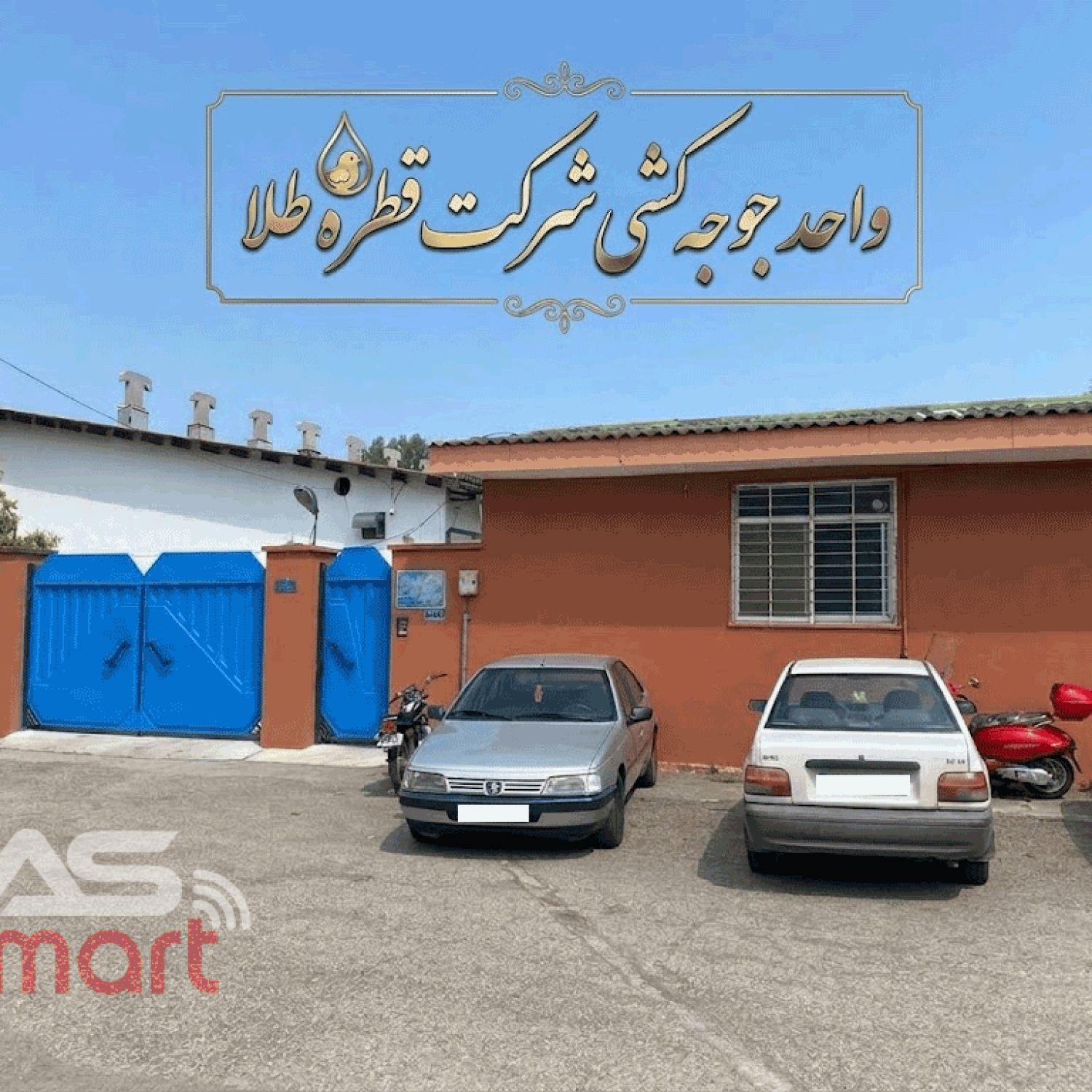 واحد جوجه کشی شرکت قطره طلا